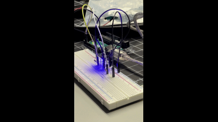 We introduced a 2 resistors, 2 leds, 3 ground wires, and 2 live wires to complete the circuit